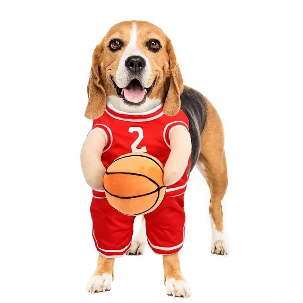 Strój Koszykarski dla Psa — Koszulka NBA dla Zwierząt